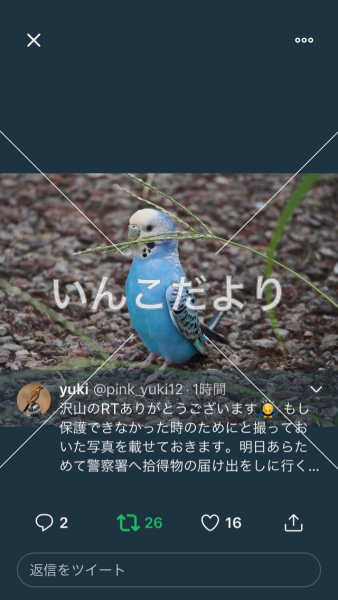 コメントの画像
