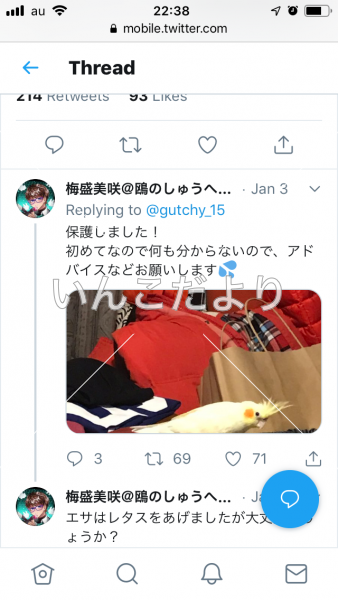コメントの画像