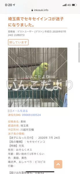 コメントの画像