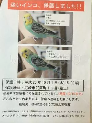 コメントの画像