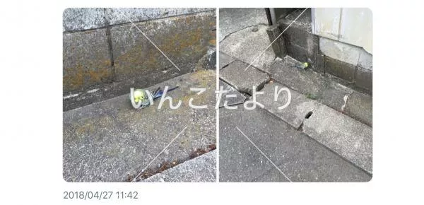 コメントの画像