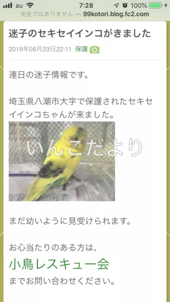 コメントの画像