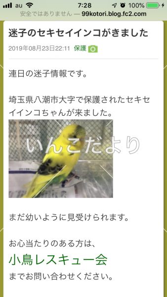 コメントの画像