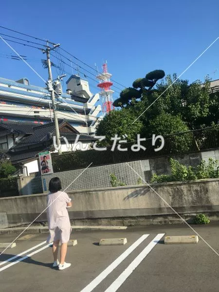 コメントの画像