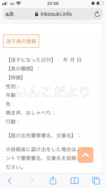 コメントの画像