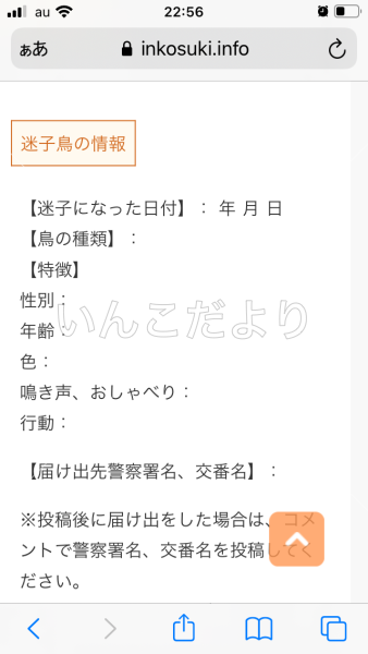 コメントの画像