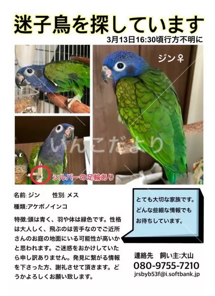 コメントの画像