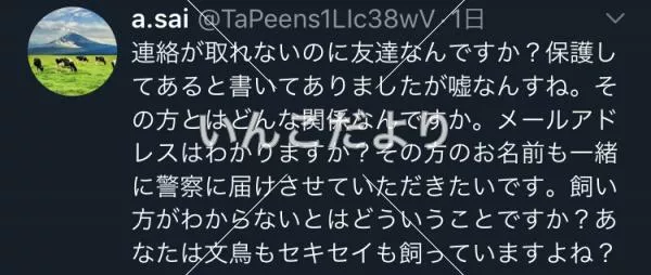 コメントの画像