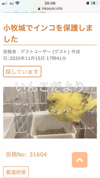 コメントの画像