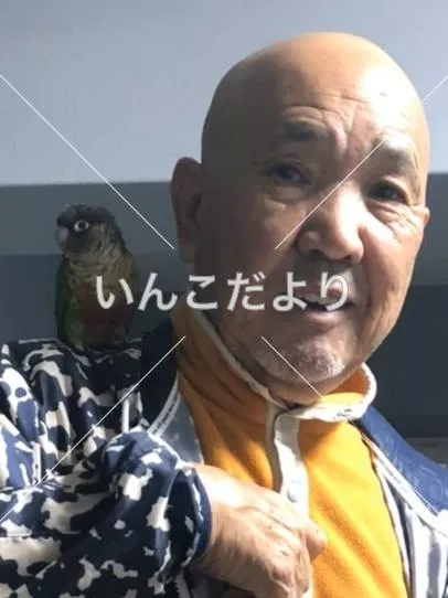 コメントの画像