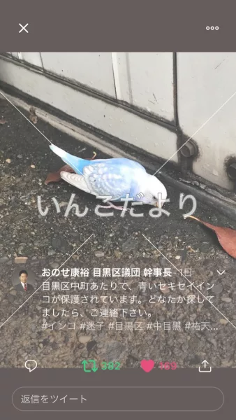 コメントの画像