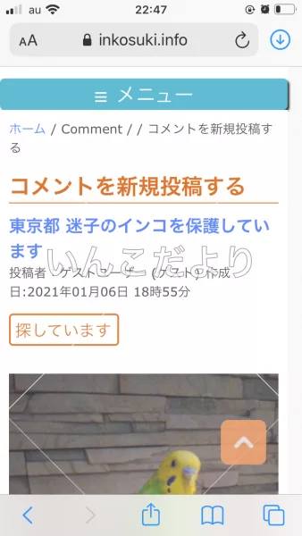 コメントの画像