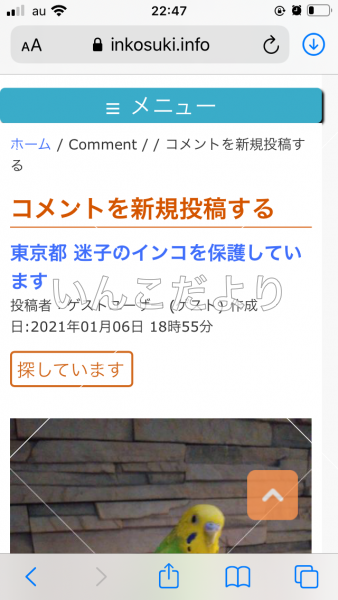 コメントの画像