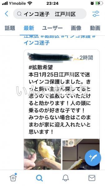 コメントの画像