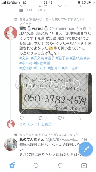 コメントの画像