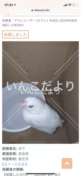 コメントの画像