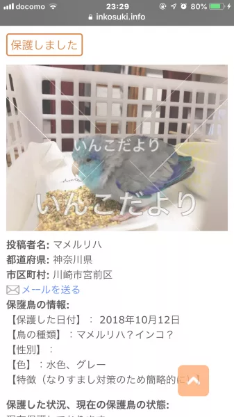 コメントの画像