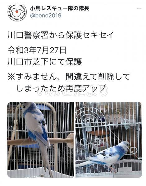 コメントの画像