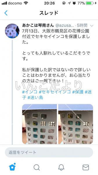 コメントの画像