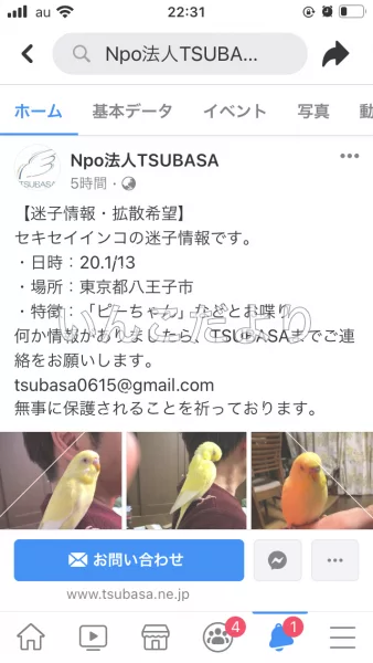 コメントの画像