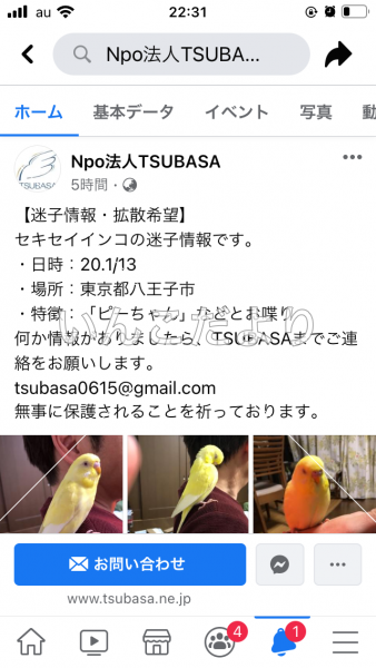 コメントの画像