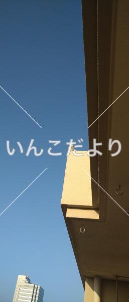コメントの画像