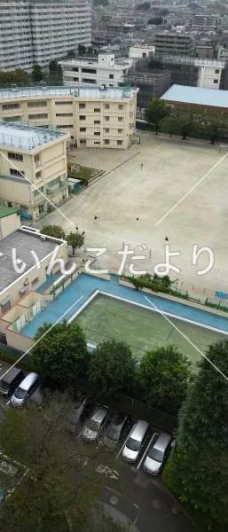 コメントの画像