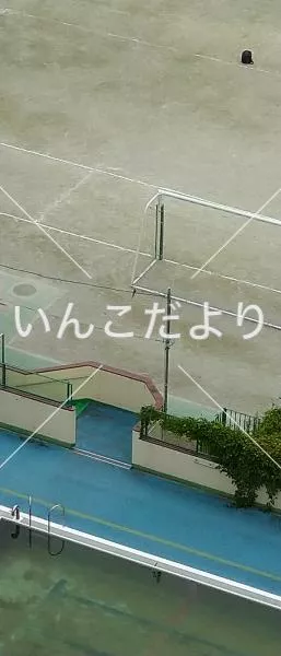 コメントの画像