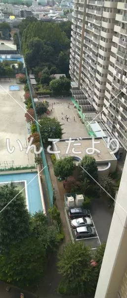 コメントの画像