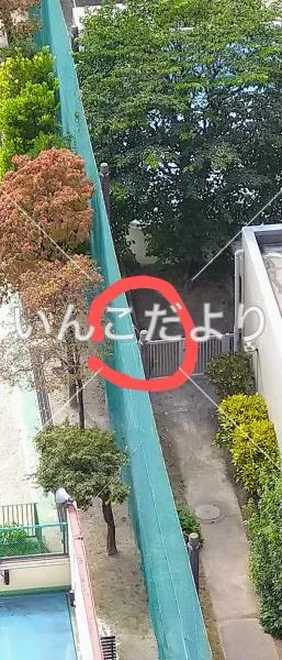 コメントの画像