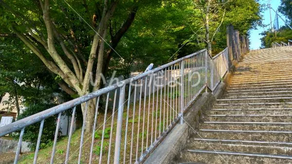 コメントの画像