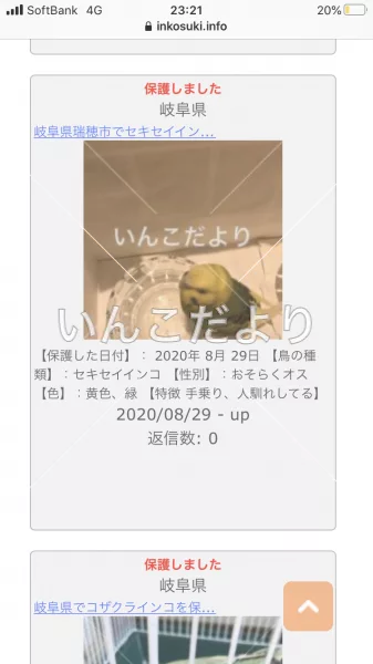 コメントの画像