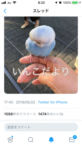コメントの画像