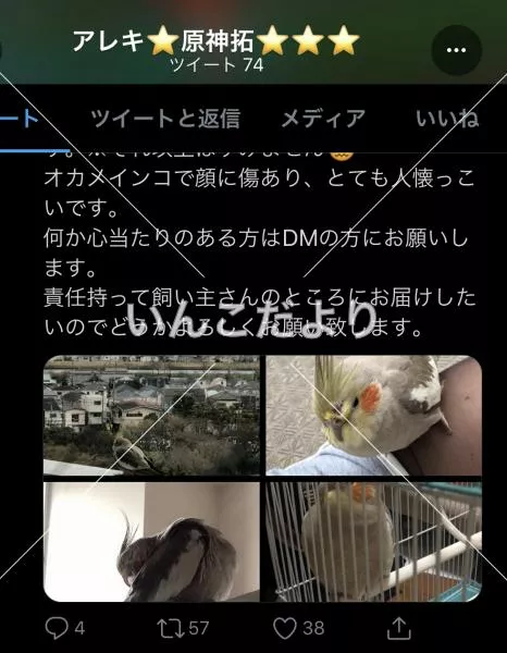 コメントの画像