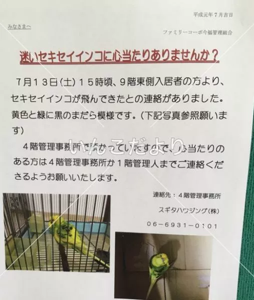 コメントの画像