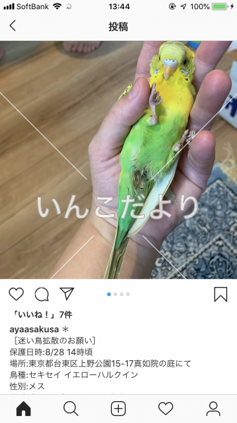 コメントの画像