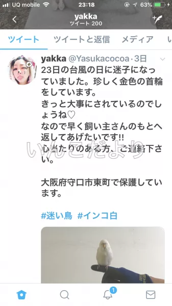 コメントの画像