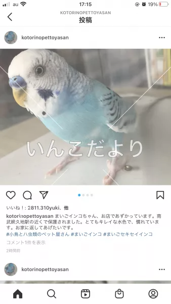 コメントの画像