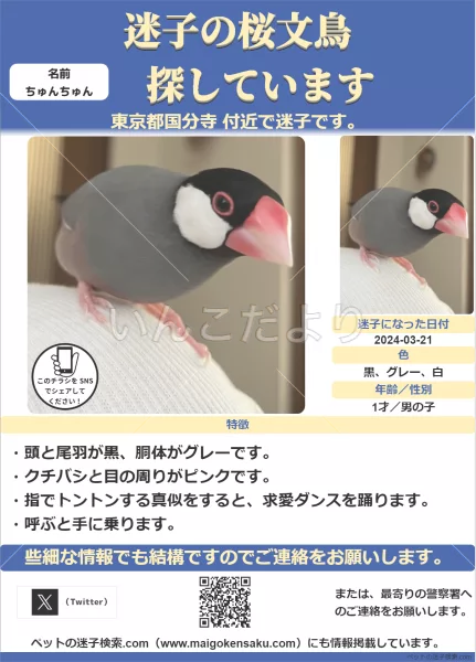 コメントの画像