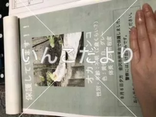 コメントの画像