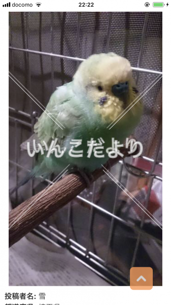 コメントの画像