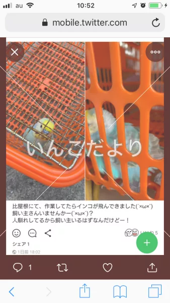 コメントの画像