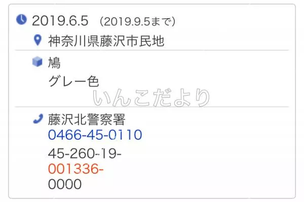 コメントの画像