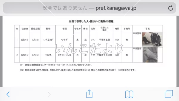 コメントの画像