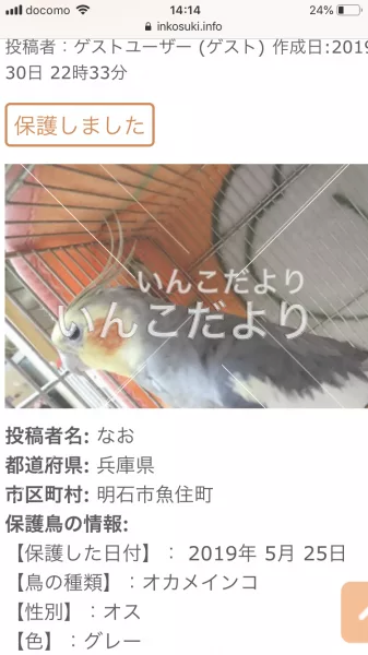 コメントの画像