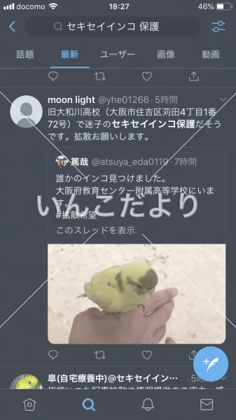 コメントの画像