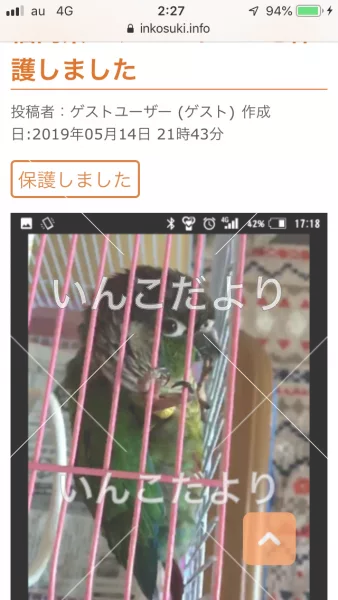 コメントの画像