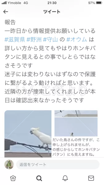 コメントの画像