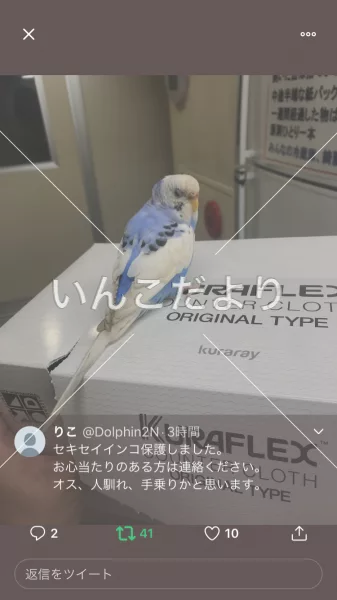 コメントの画像