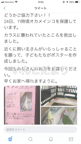 コメントの画像